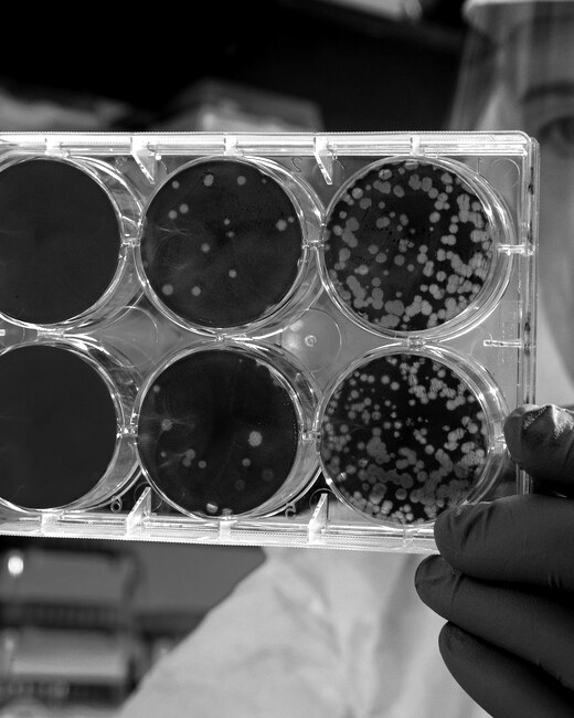 Life Science